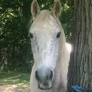 Fundraising Page: Joan Duncanson Elbert